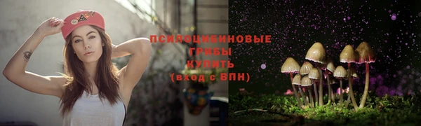 кокаин Белокуриха